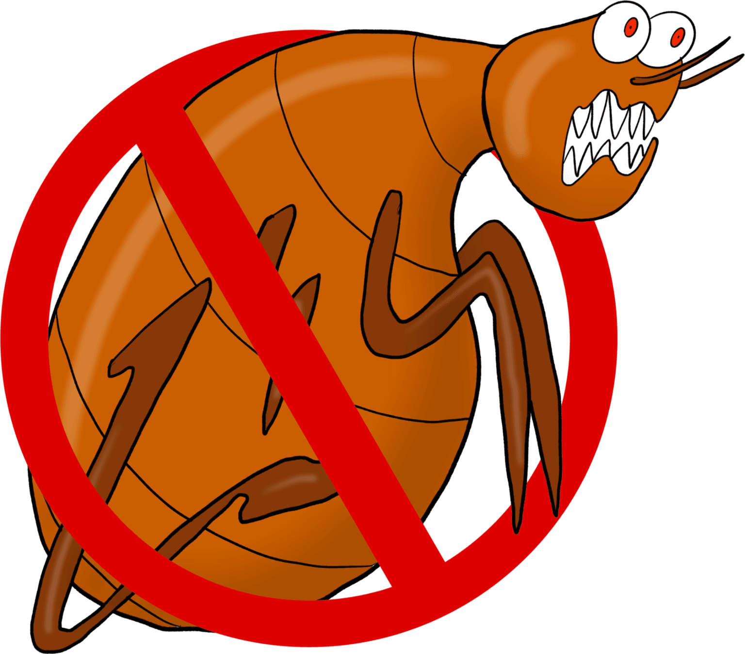 Flea Control Mosquito Man