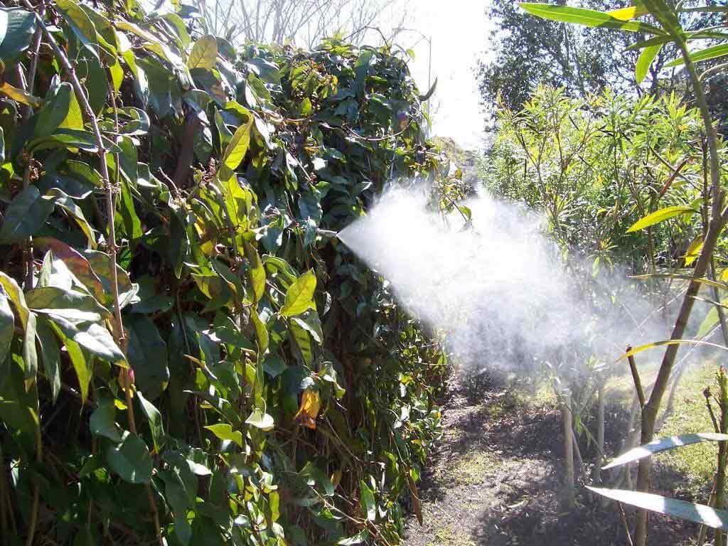 Mosquito control spraying in open area