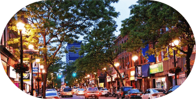 Mosquito free open area