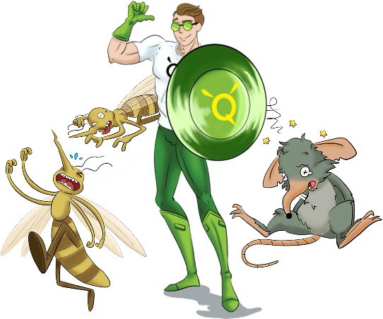 Get Safe & Effective Pest Control