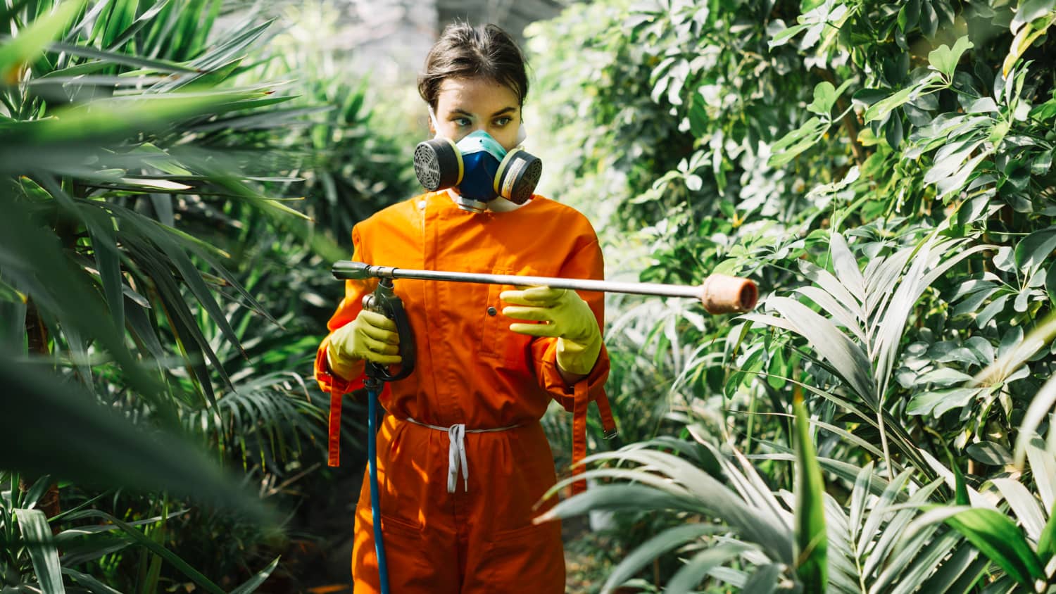 Top Pest Control & Mosquito Exterminator Services in Toronto