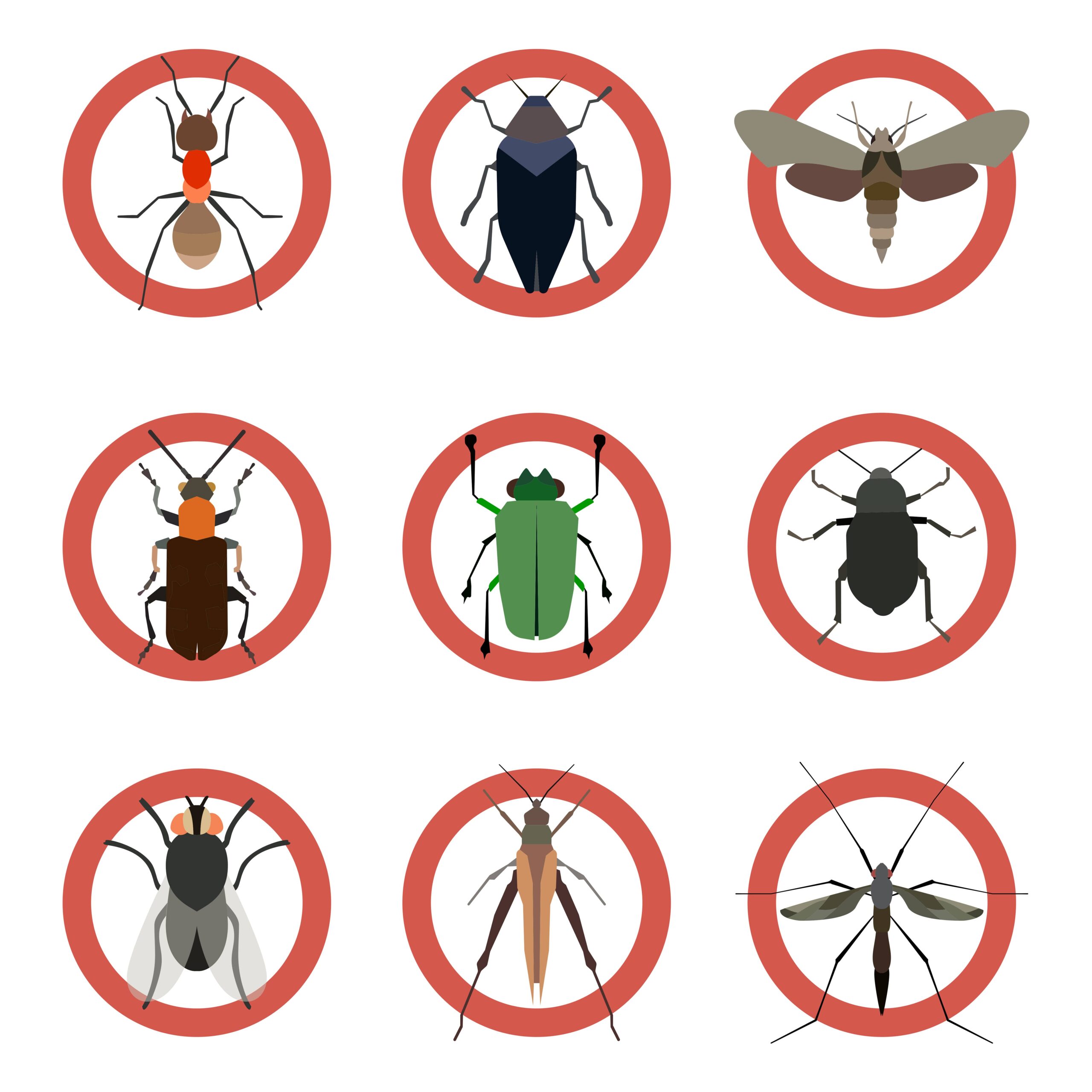 When Should You Call Pest Control in Hamilton?