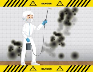 Early Signs of a Pest Infestation in Toronto: Warning Signs, Common Pests, and Prevention Tips