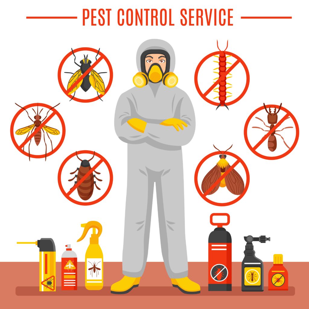 How to Get Rid of a Bug Infestation in Your House with Mosquito Man’s Pest Control Tips