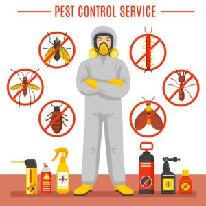 How to Get Rid of a Bug Infestation in Your House with Mosquito Man’s Pest Control Tips