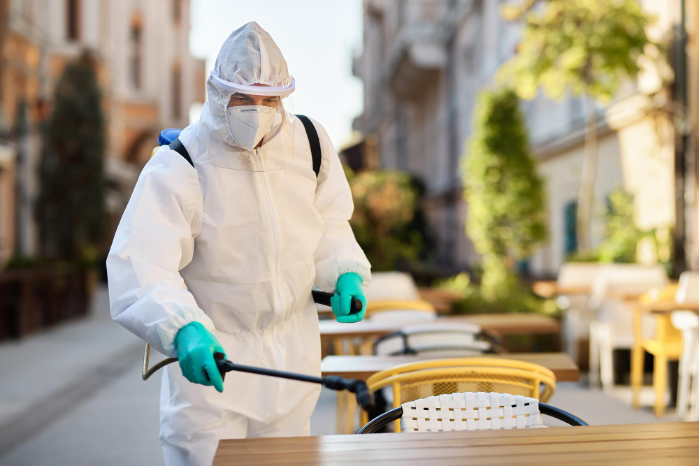 Why Pest Issues Are Increasing in London Homes and How Pest Control Is Responding | Mosquito Man