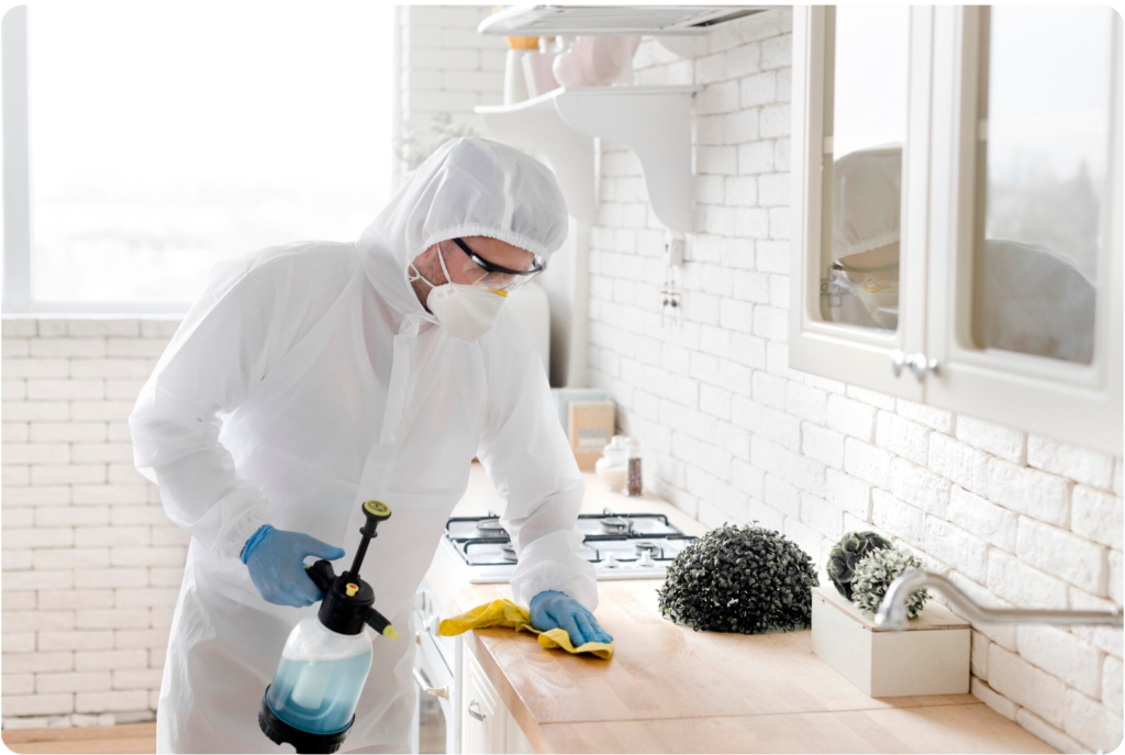 What Not to Do After Pest Control in Mississauga: Follow-Up Visits and Clean Up Tips