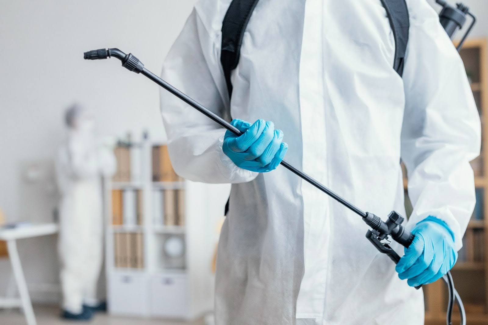 Best Pest Control Companies in Mississauga: Eco-Friendly | Mosquito Man