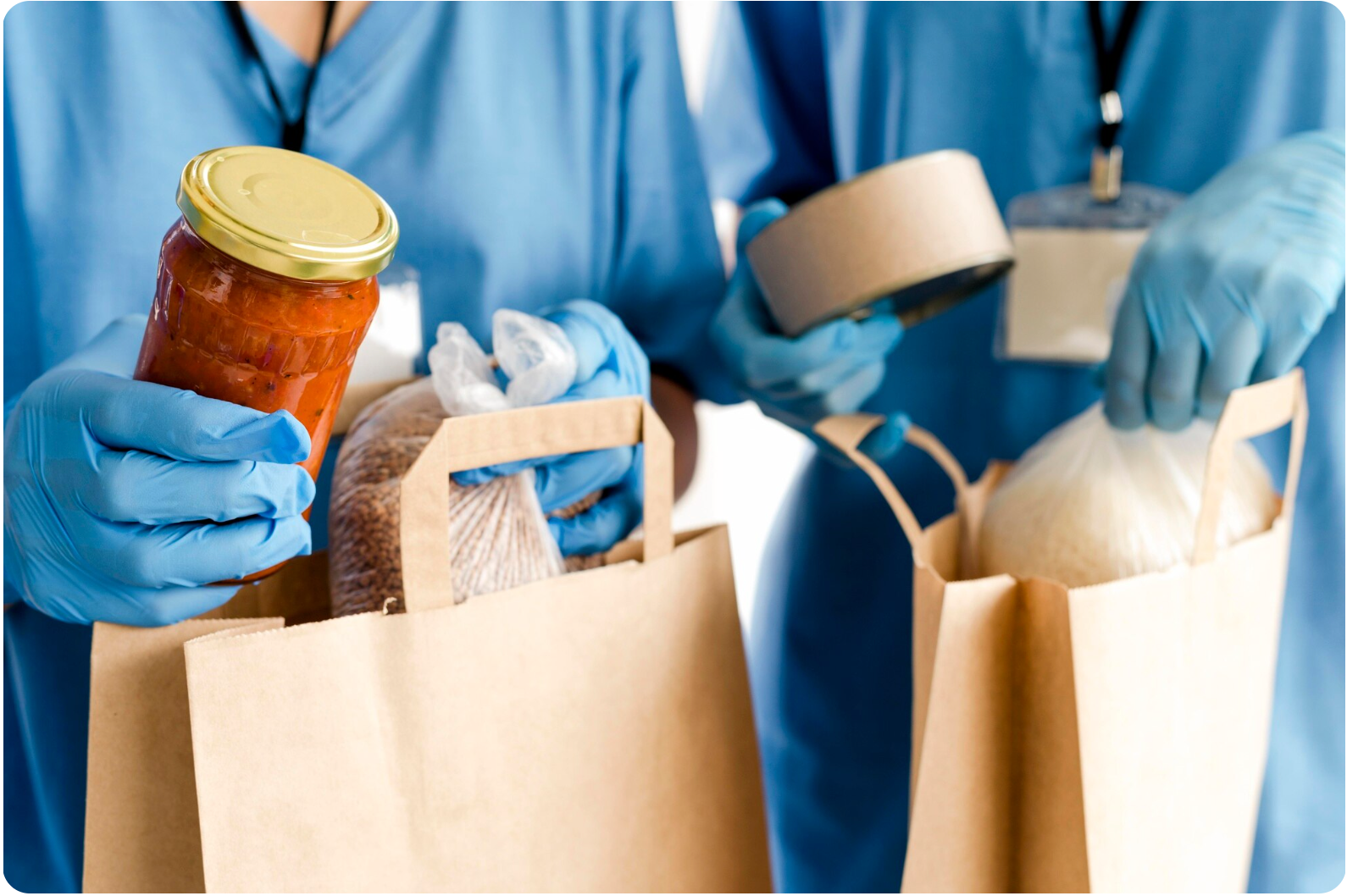 What to Do Before Pest Control Comes in Mississauga: Preparation Guide | Mosquito Man