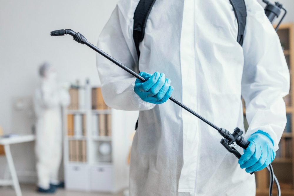 Best Pest Control Companies in Kingston: How to Choose the Right One for Your Property | Mosquito Man