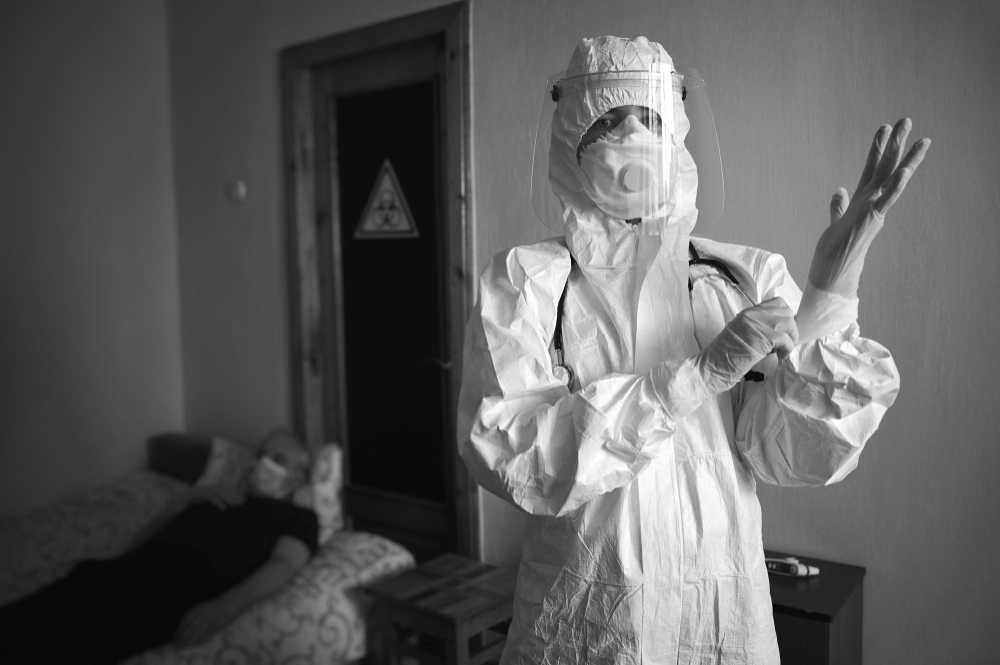 Best Pest Control Companies in Guelph: How to Choose the Right One for Your Property