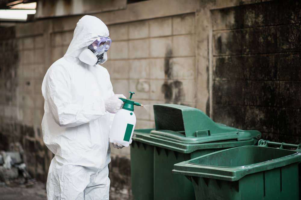 Best Pest Control Companies in Etobicoke: How to Choose the Right Protection | Mosquito Man