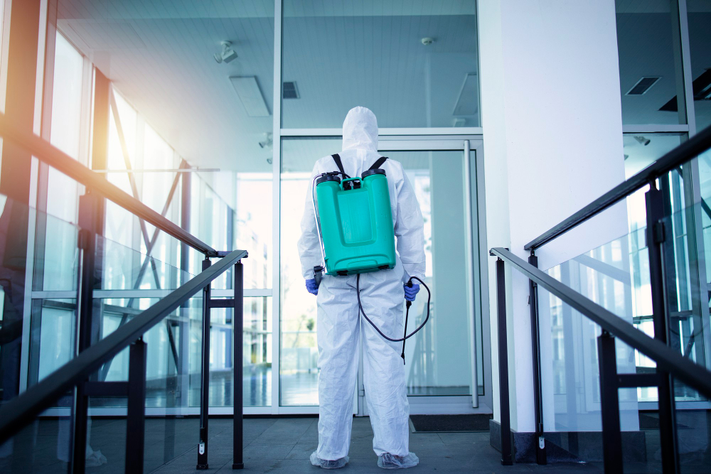 Preventive Pest Control in Windsor: How Homeowners Stay Protected Year-Round | Mosquito Man