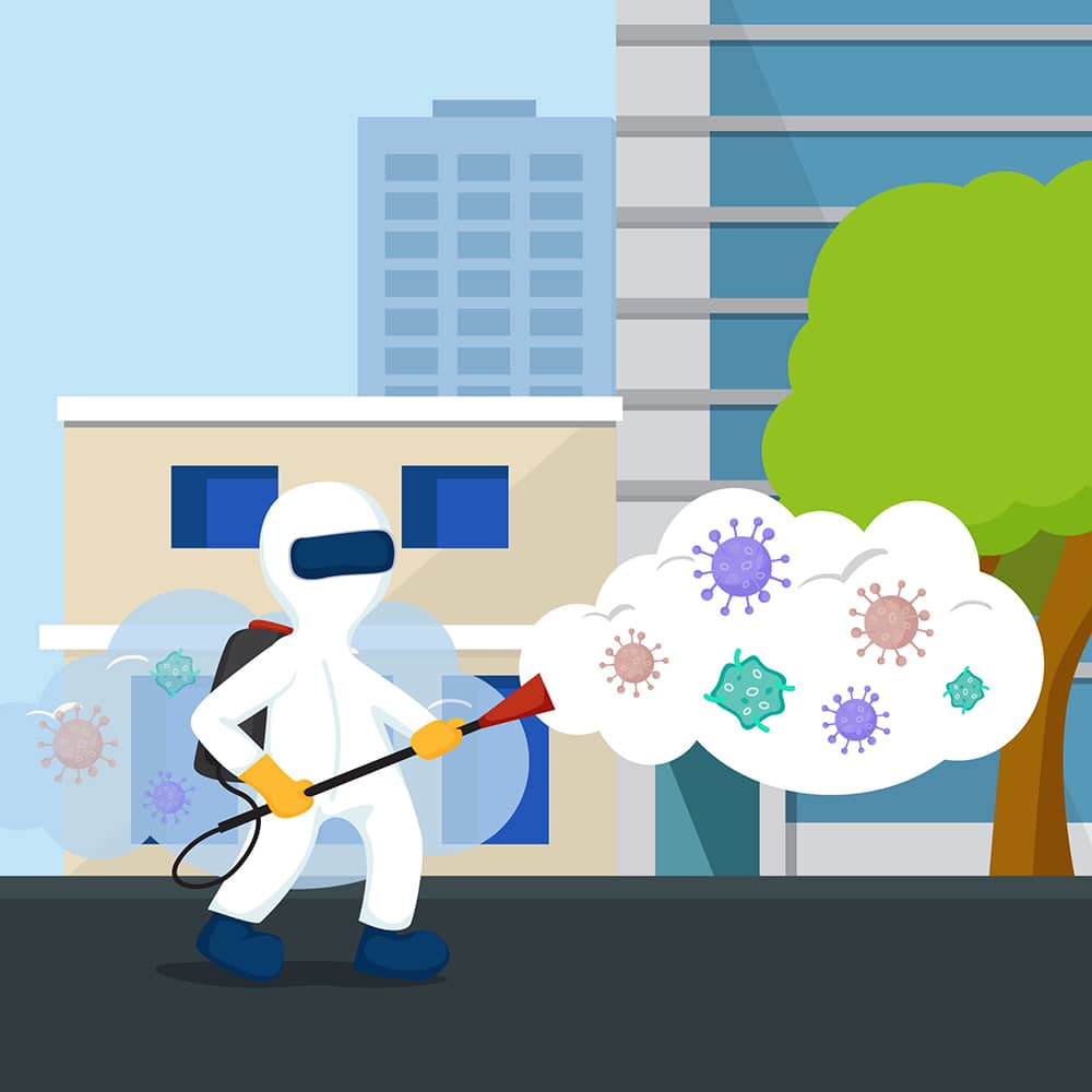 Best Mosquito Control Companies in Ottawa: How to Choose the Right Protection for Your Property