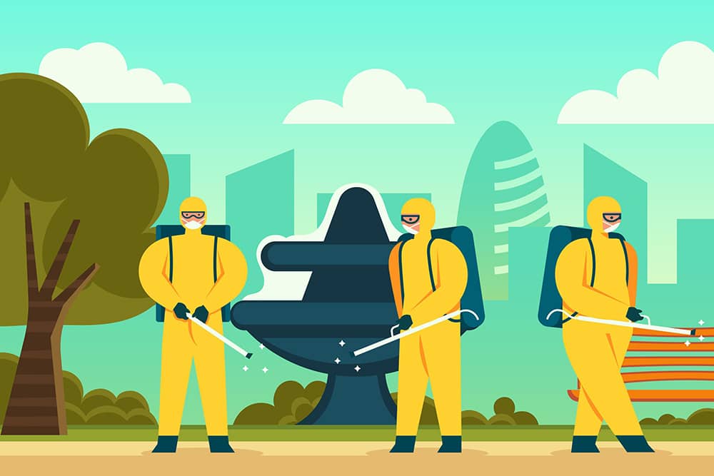 Mosquito Control in Ottawa: Why Mosquitoes Thrive in the Region