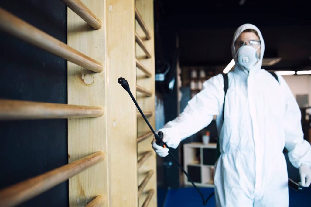 Early Signs You Need Pest Control in Muskoka Before Damage Spreads