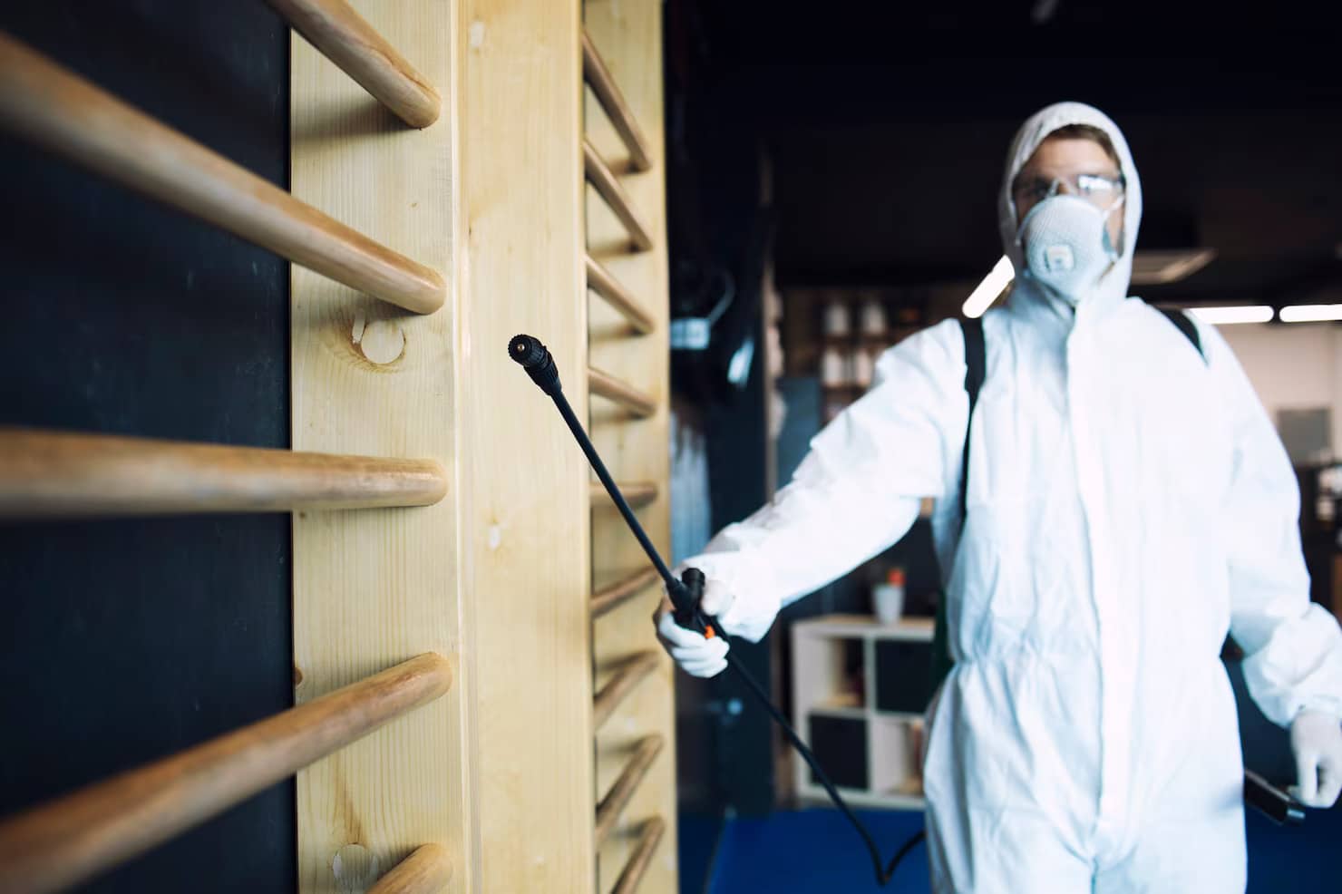 Early Signs You Need Pest Control in Muskoka Before Damage Spreads