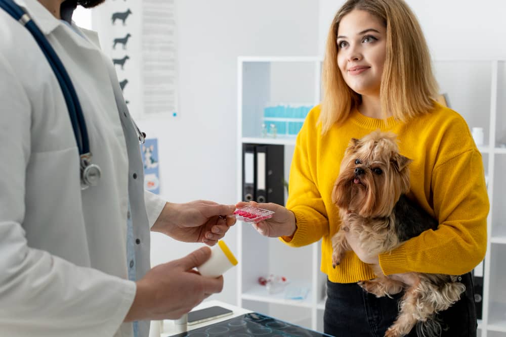Tick Control Ottawa: Protecting Your Pets from Ticks | Mosquito Man