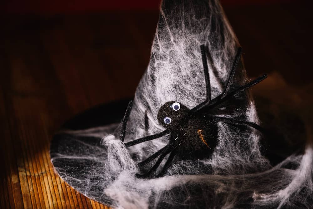 Preventing Spiders in Your Sudbury Home Year Round | Mosquito Man
