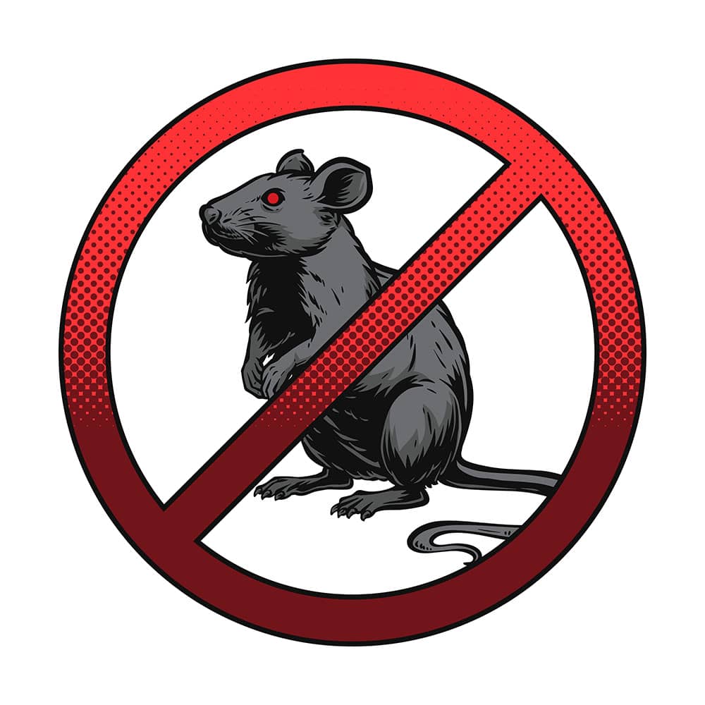 Common Rodents in Ottawa and How To Control Them | Mosquito Man