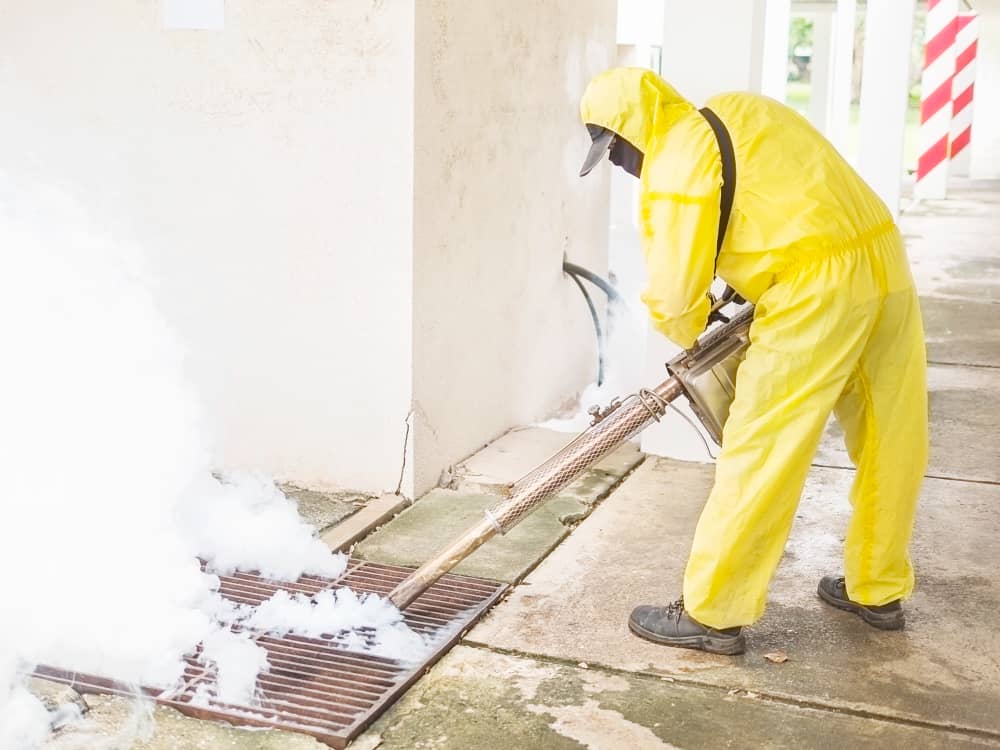 Signs You Need Professional Rodent Control in Mississauga | Mosquito Man