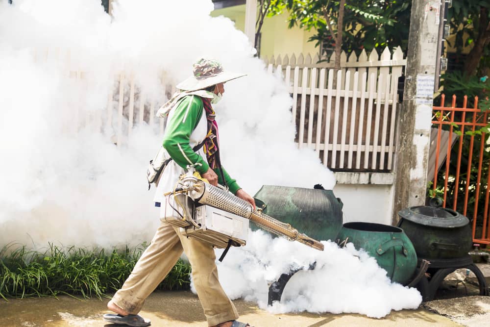 Best Spider Control Companies In Toronto | Mosquito Man