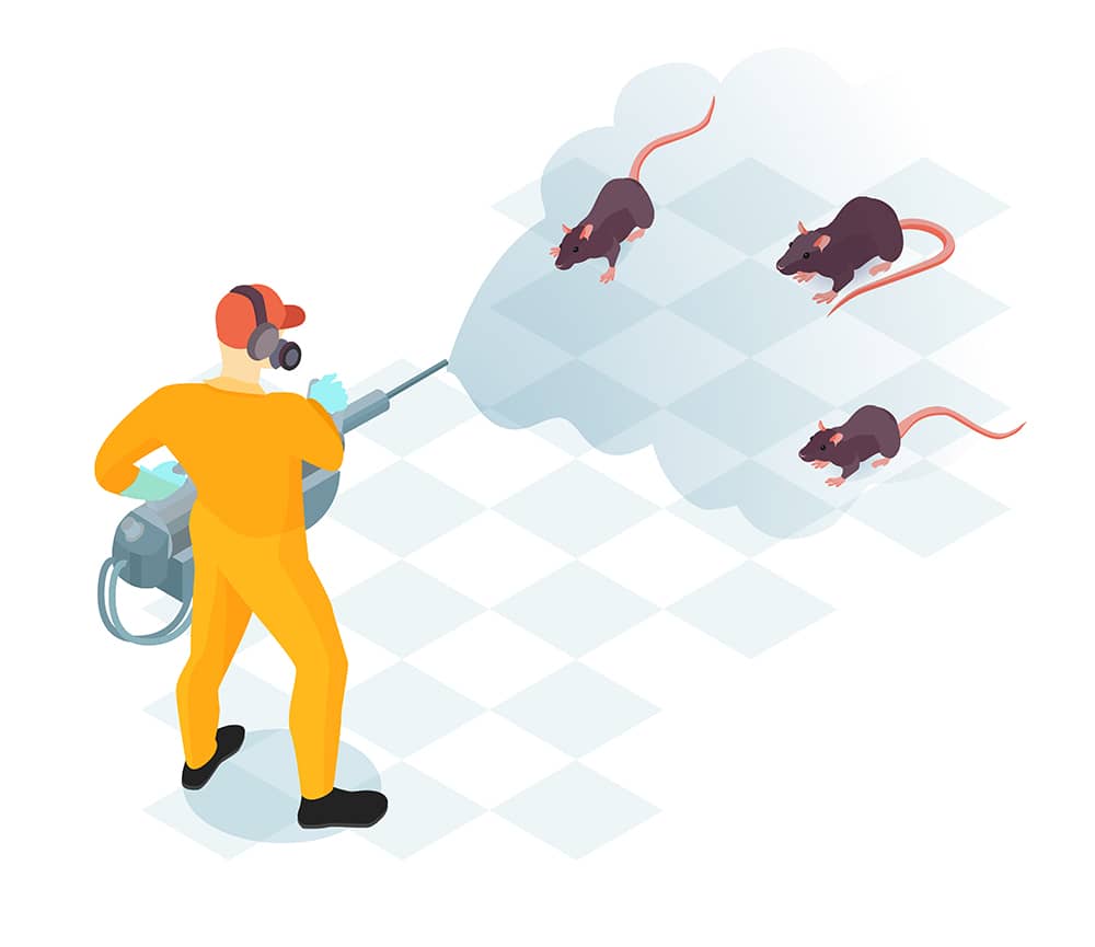 Best Rodent Control Companies In Ottawa