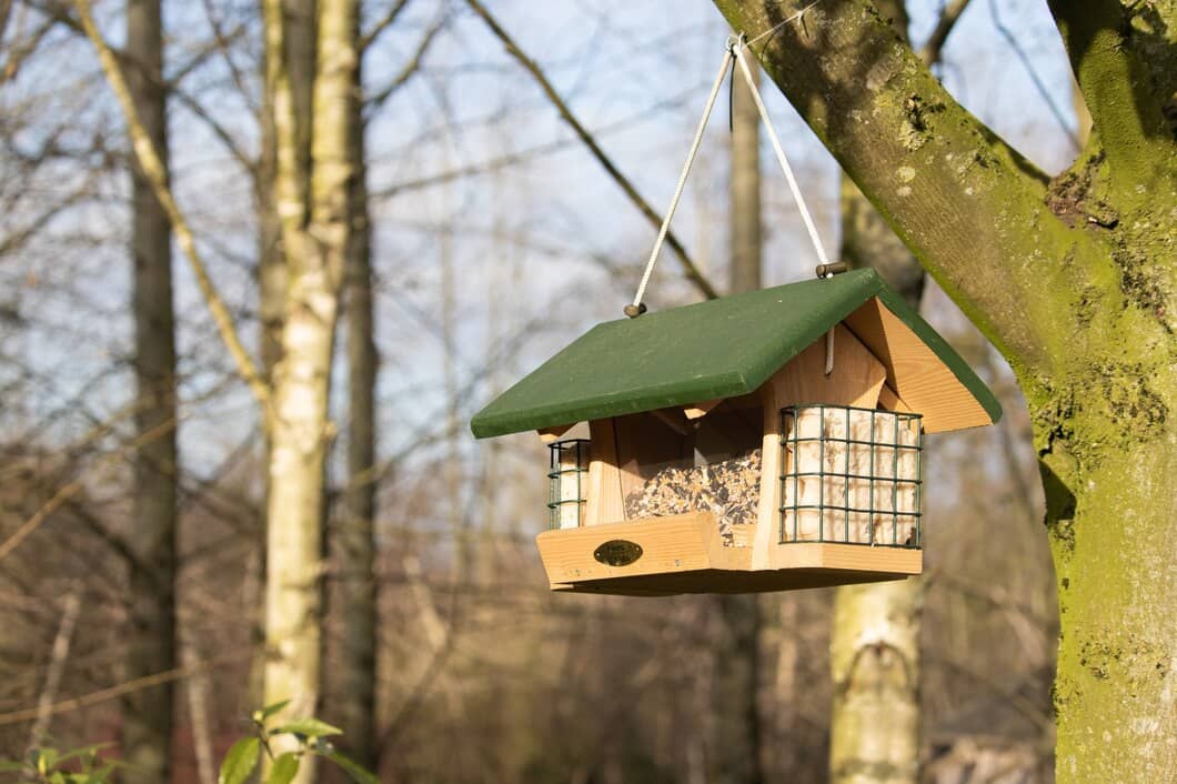Can Bird Feeders Attract Mice and Rats in Niagara? | Mosquito Man