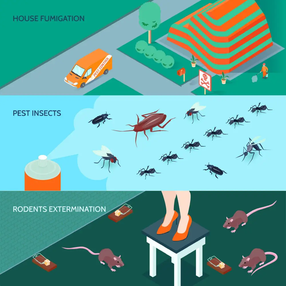 How to Help Prevent Pest Problems Around Your Pickering Property