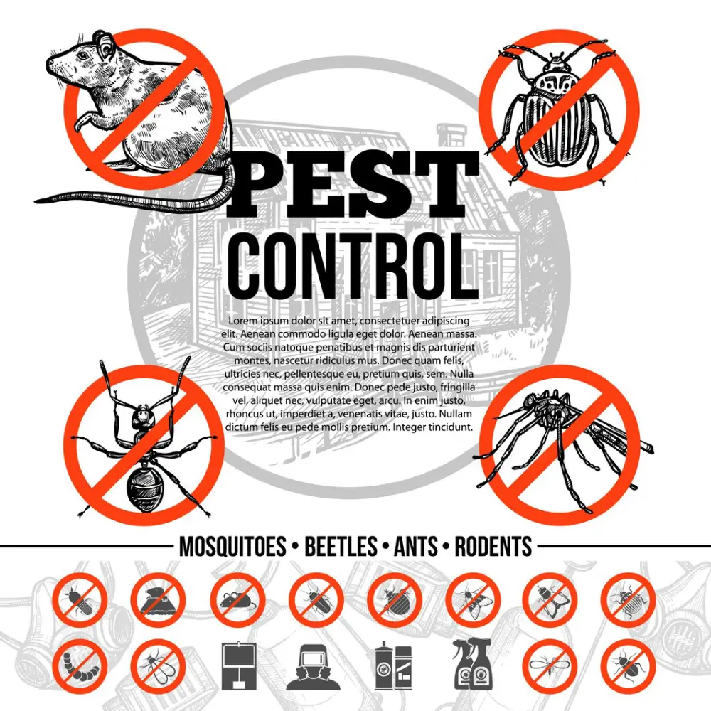 What Does Pest Control in Pickering, Ontario Involve? | Mosquito Man