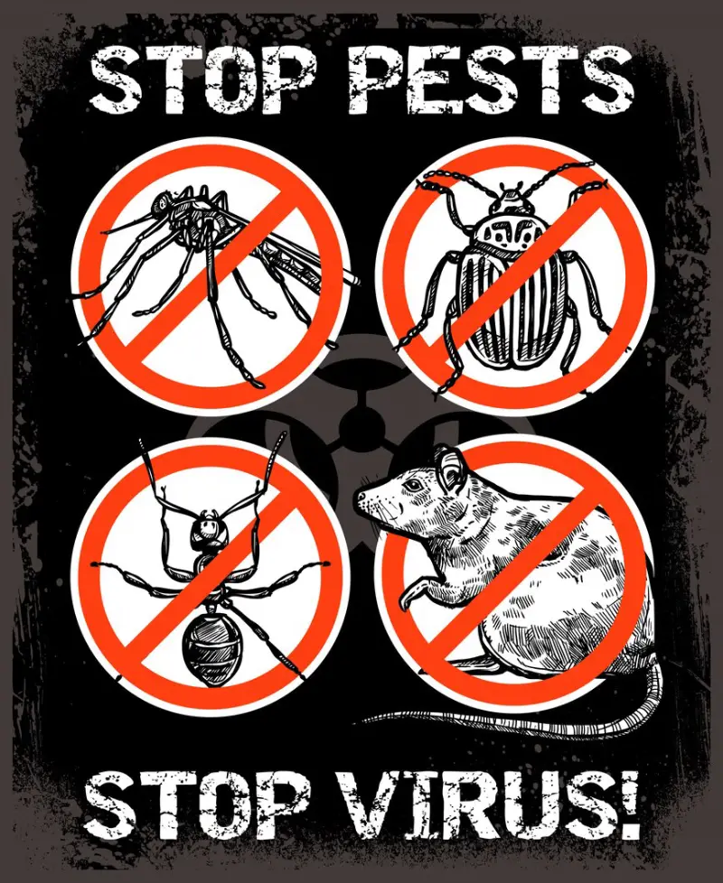 When Should You Call Pest Control in Pickering, Ontario? | Mosquito Man