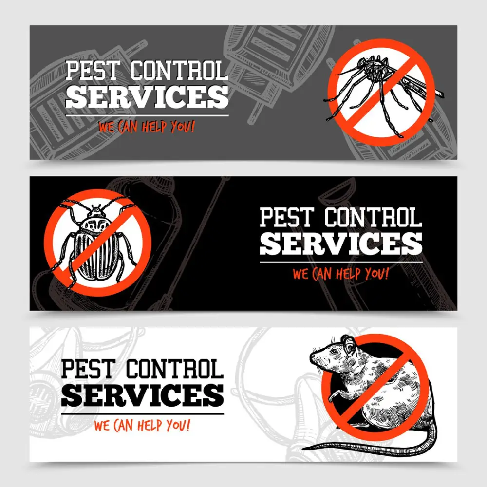 When Is It Time to Contact a Pest Control Professional in Pickering?