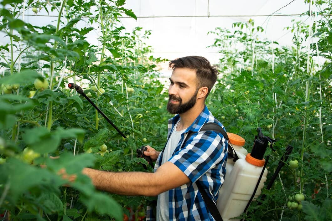 What to Expect During a Professional Pest Control Visit in Kitchener | Mosquito Man