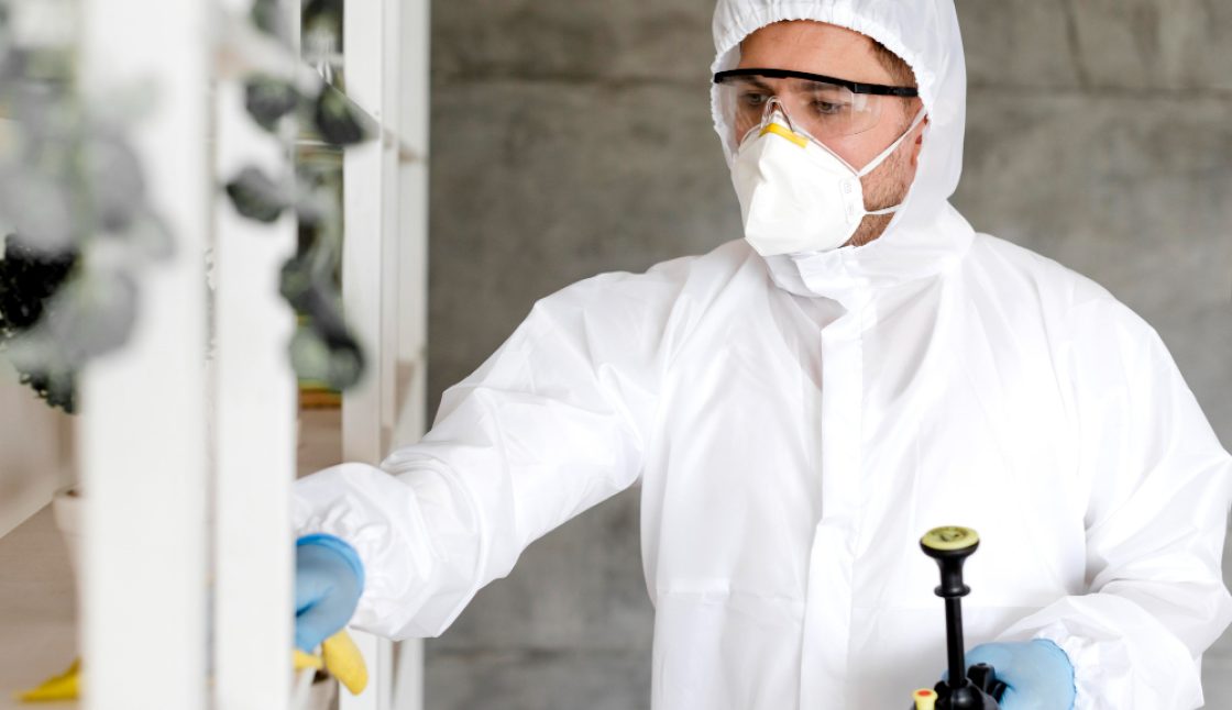 Pest Control in Sudbury: How Home Construction Impacts Infestations and Prevention