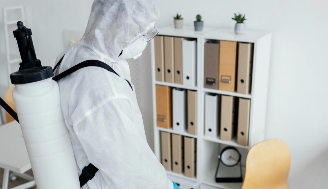 Is Pest Control in London Safe for Children, Pets, and Multi-Unit Buildings? Expert Advice from Mosquito Man