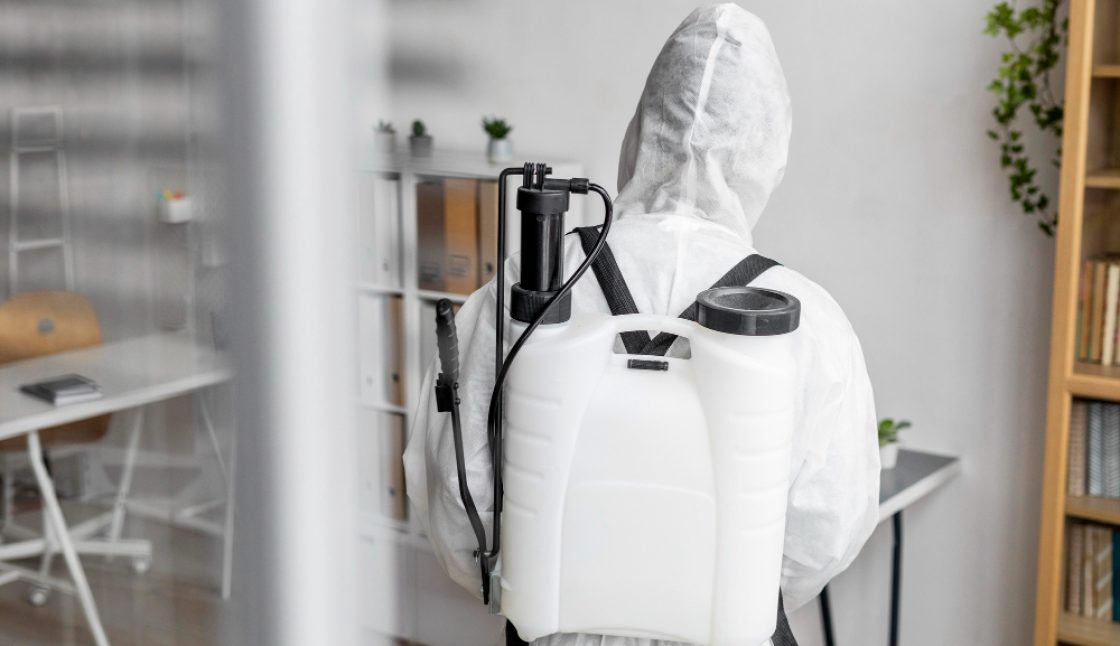 Early Signs You Need Pest Control in Kingston Before Damage Spreads