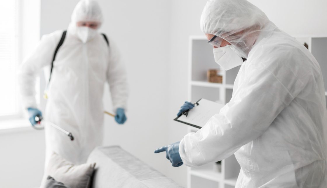 Pest Control in Barrie: Common Household Pests and How Professionals Eliminate Them