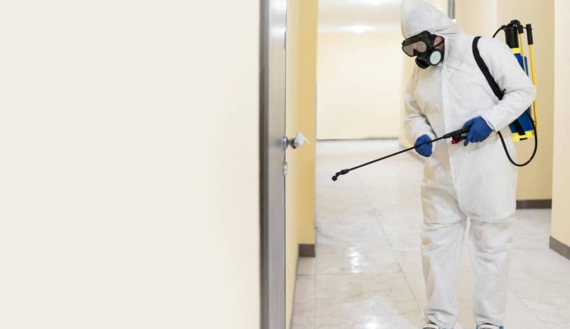 Pest Control in Kawartha Lakes for Cottages and Vacation Rentals