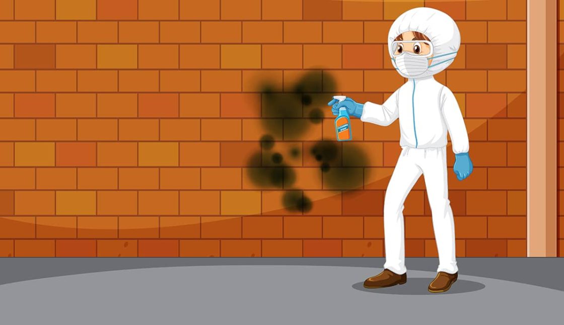Mosquito Control in Vancouver for Outdoor Events, Patios, and Commercial Spaces