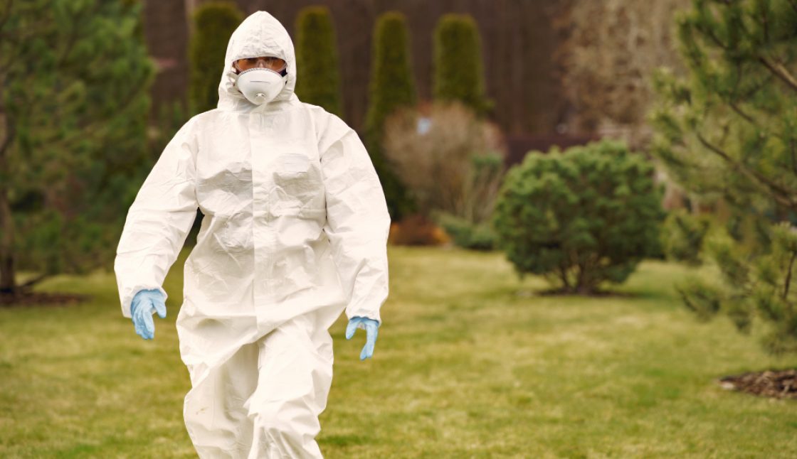 Residential vs Commercial Pest Control in Vaughan: What’s the Difference?