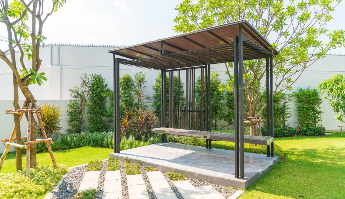 Protecting Families and Pets from Tick Activity in Brampton Yards