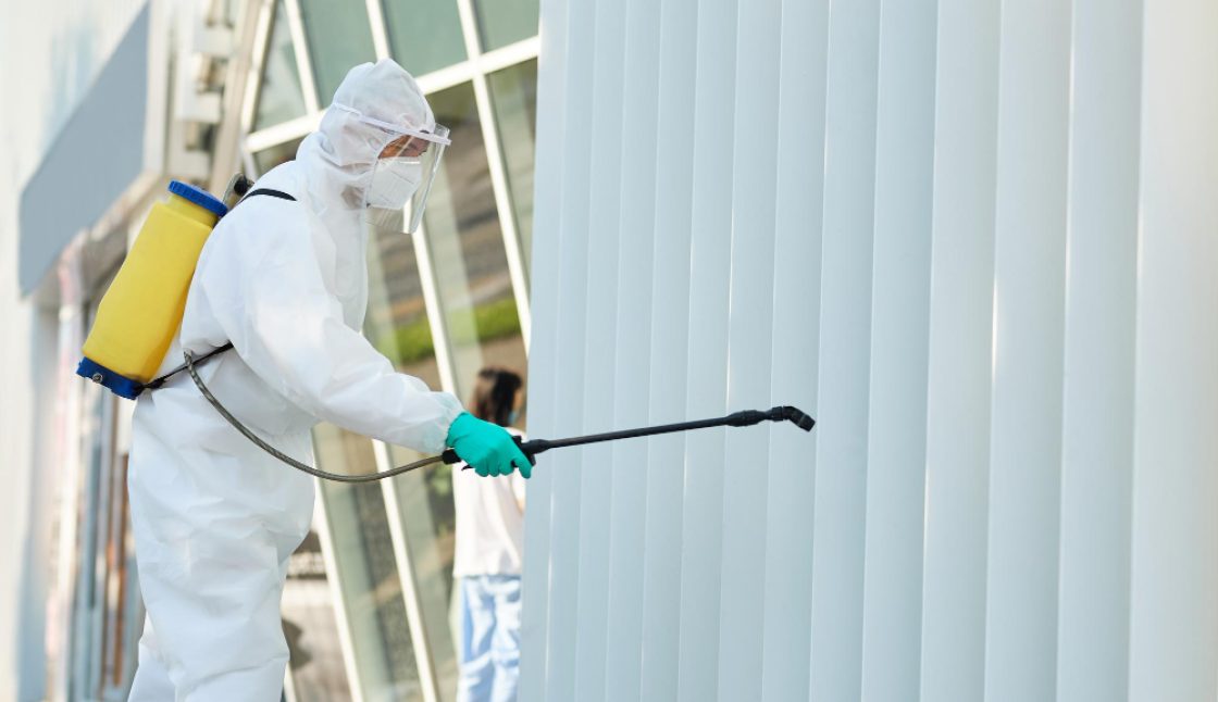 Residential Vs Commercial Pest Control Oakville