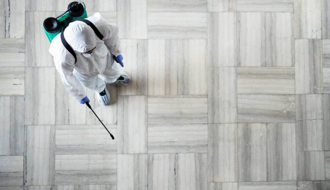 Commercial Pest Control in Niagara: Protecting Restaurants, Hotels, and Rentals
