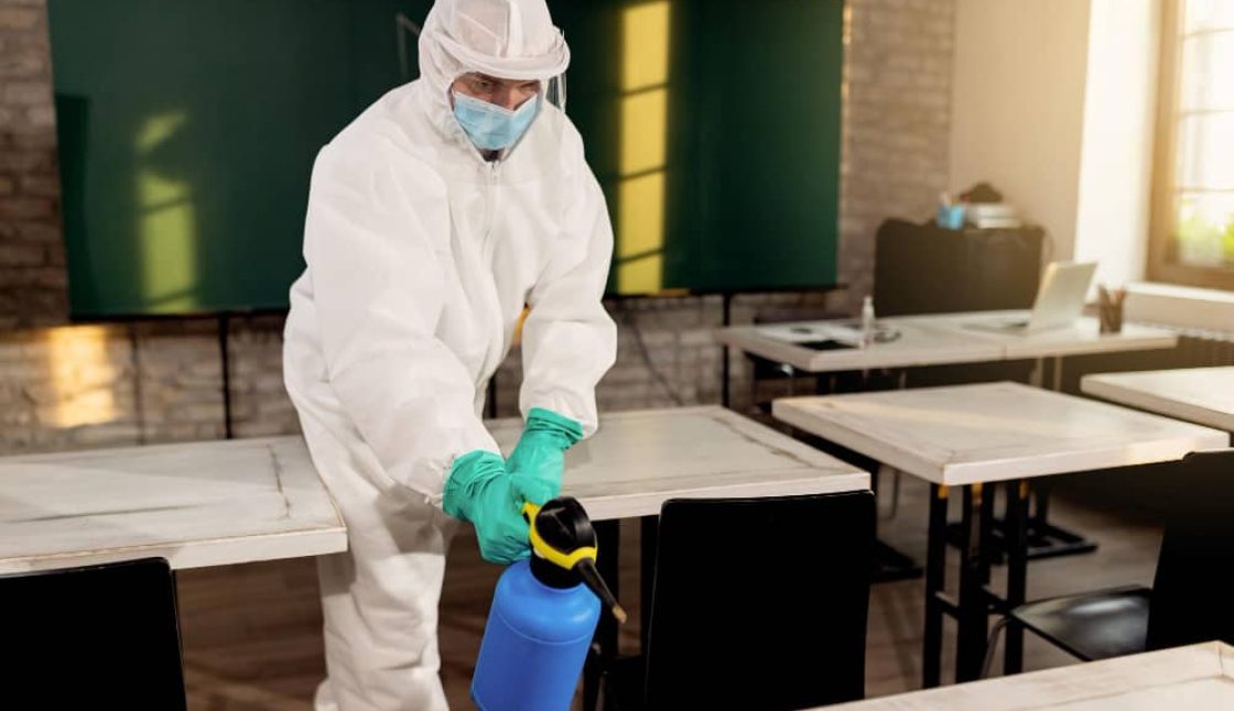 Mosquito Control in London Ontario for Patios, Outdoor Events, and Backyards