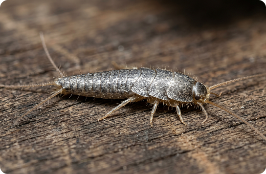 Image_onjhm6onjhm6onjh-1-rm3j2m2ia8bbhgjydni00pqgge822htj3jq2aqbvfs