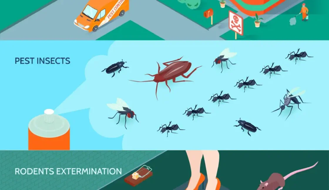 How to Help Prevent Pest Problems Around Your Pickering Property