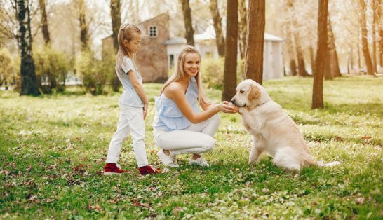 fd89d130a4203e2b4e17655e312fdd8f9af08ed5