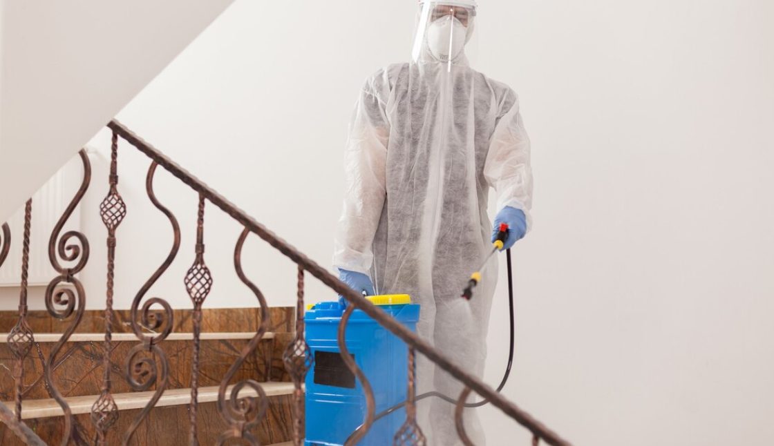 How to Compare Pest Control Services in Kitchener