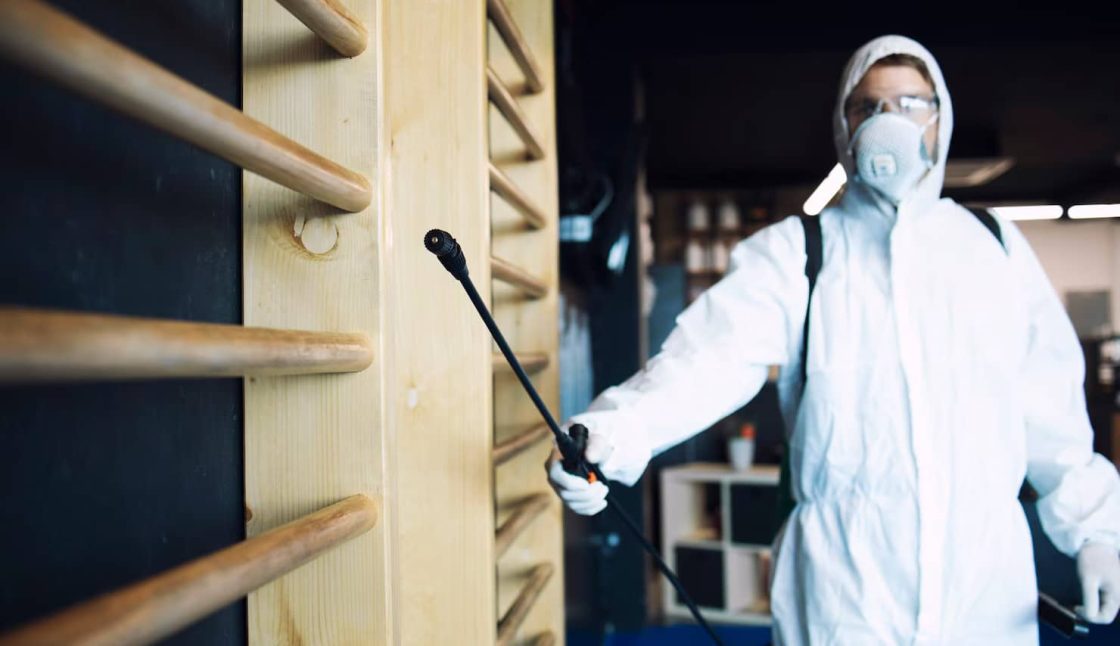 Early Signs You Need Pest Control in Muskoka Before Damage Spreads