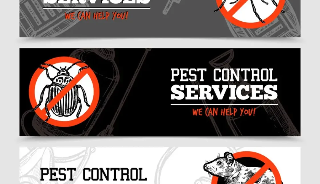 When Is It Time to Contact a Pest Control Professional in Pickering?